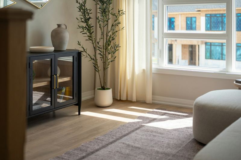 Sunlit living room with a black cabinet and an olive tree